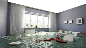 Home Improvement Insurance Claims