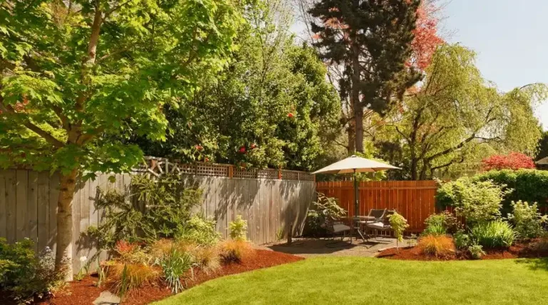 Backyard remodeling in temacula